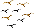 Flying Bird Wall Art Set | Aluminium Decorative Sculpture